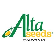 Семена оптом Alta Seeds