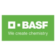 Семена оптом Basf