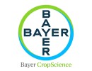 Bayer