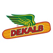 Семена оптом Dekalb