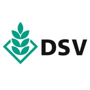 Семена оптом DSV (Deutsche Saatveredelung AG)