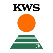 Семена оптом KWS SAAT SE