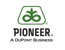 Pioneer