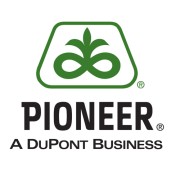 Семена оптом Пионер (Pioneer)