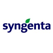 Семена оптом Syngenta